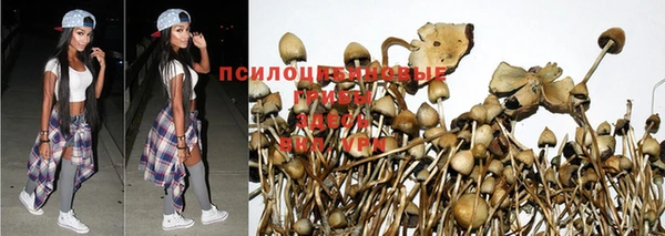 кокс Бронницы